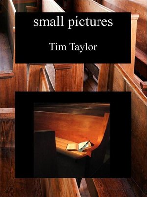 cover image of Small Pictures
